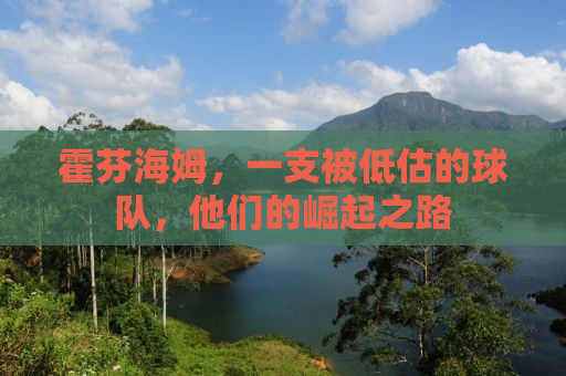 霍芬海姆，一支被低估的球队，他们的崛起之路