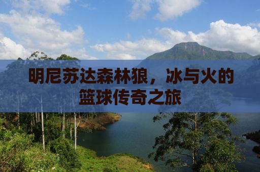 明尼苏达森林狼，冰与火的篮球传奇之旅