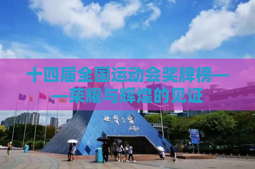 十四届全国运动会奖牌榜——荣耀与辉煌的见证