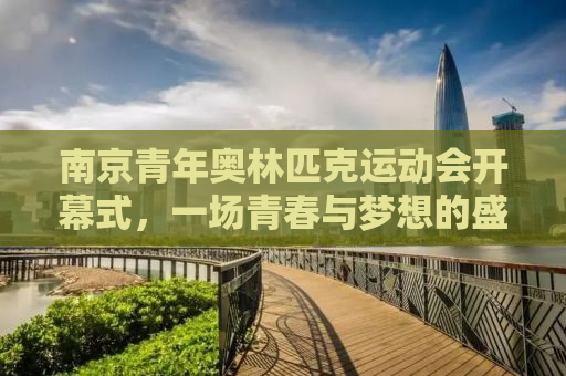 南京青年奥林匹克运动会开幕式，一场青春与梦想的盛宴