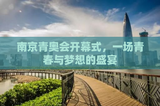 南京青奥会开幕式，一场青春与梦想的盛宴