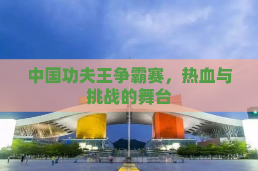 中国功夫王争霸赛，热血与挑战的舞台