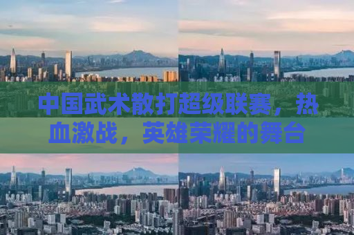 中国武术散打超级联赛，热血激战，英雄荣耀的舞台