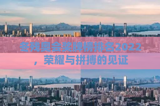 冬残奥会奖牌榜排名2022，荣耀与拼搏的见证