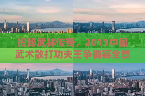 揭秘武林传奇，2011中国武术散打功夫王争霸赛全景回顾与深度解析