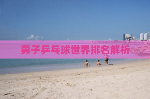男子乒乓球世界排名解析