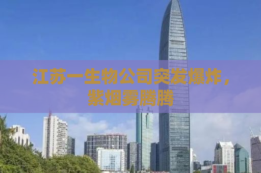江苏一生物公司突发爆炸，紫烟雾腾腾