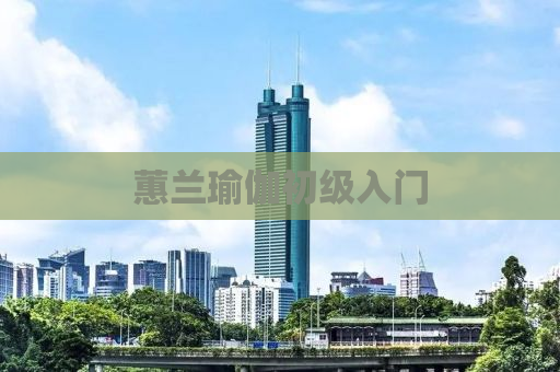 蕙兰瑜伽初级入门