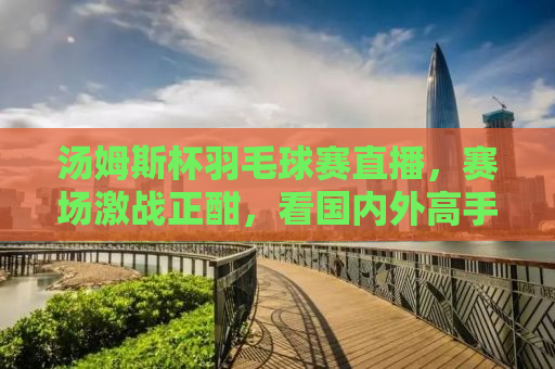 汤姆斯杯羽毛球赛直播，赛场激战正酣，看国内外高手如何挥洒汗水！