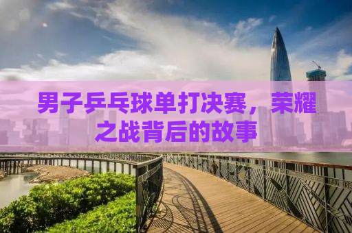 男子乒乓球单打决赛，荣耀之战背后的故事