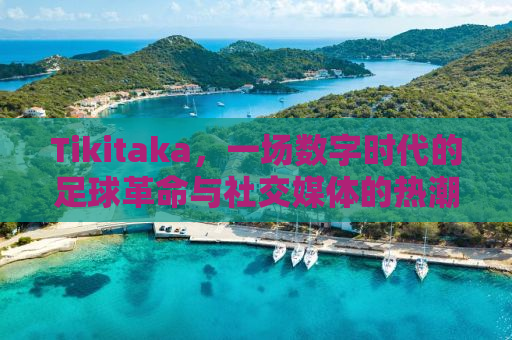 Tikitaka，一场数字时代的足球革命与社交媒体的热潮