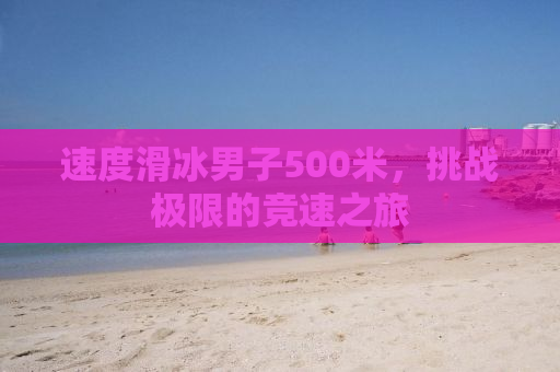 速度滑冰男子500米，挑战极限的竞速之旅