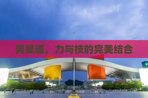 男柔道，力与技的完美结合