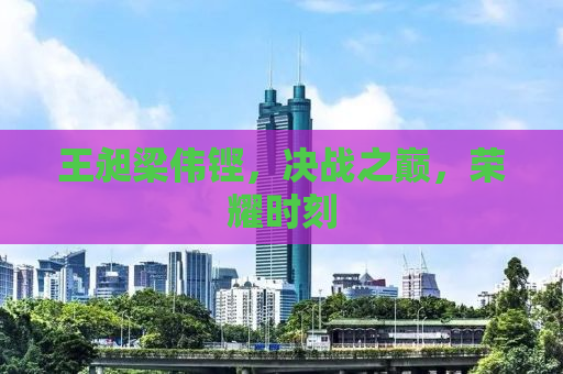 王昶梁伟铿，决战之巅，荣耀时刻
