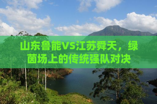 山东鲁能VS江苏舜天，绿茵场上的传统强队对决