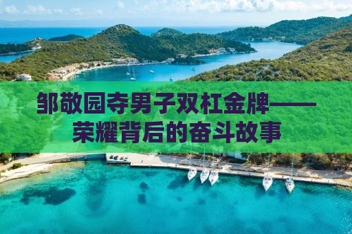 邹敬园夺男子双杠金牌——荣耀背后的奋斗故事