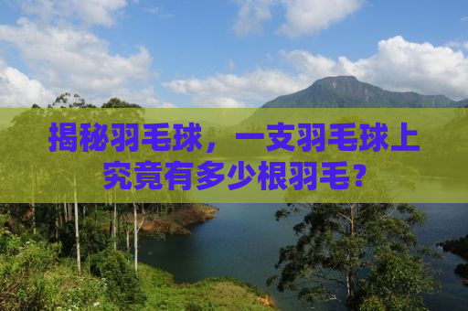 揭秘羽毛球，一支羽毛球上究竟有多少根羽毛？