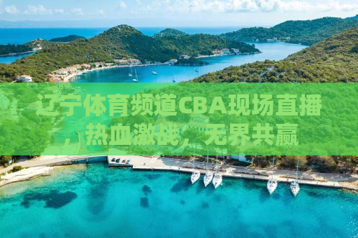 辽宁体育频道CBA现场直播，热血激战，无界共赢