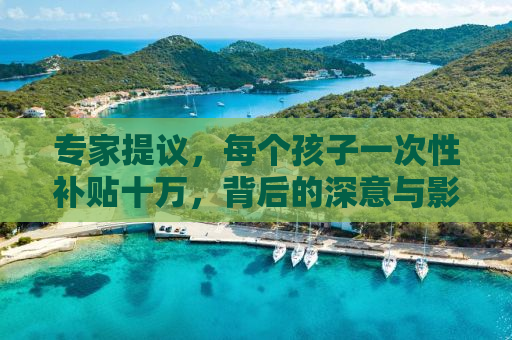 专家提议，每个孩子一次性补贴十万，背后的深意与影响探讨