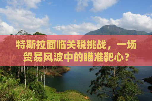特斯拉面临关税挑战，一场贸易风波中的瞄准靶心？