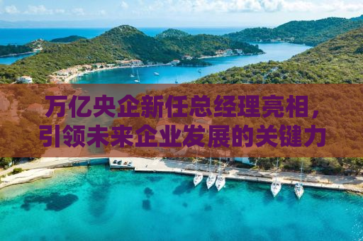 万亿央企新任总经理亮相，引领未来企业发展的关键力量