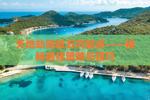 天地劫阴歙五内加点——揭秘最佳策略与技巧