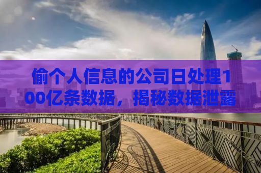 偷个人信息的公司日处理100亿条数据，揭秘数据泄露背后的真相与应对之策