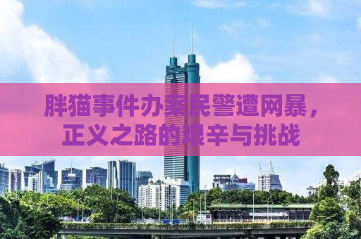 胖猫事件办案民警遭网暴，正义之路的艰辛与挑战
