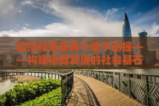 坚持和落实两个毫不动摇——构建稳健发展的社会基石